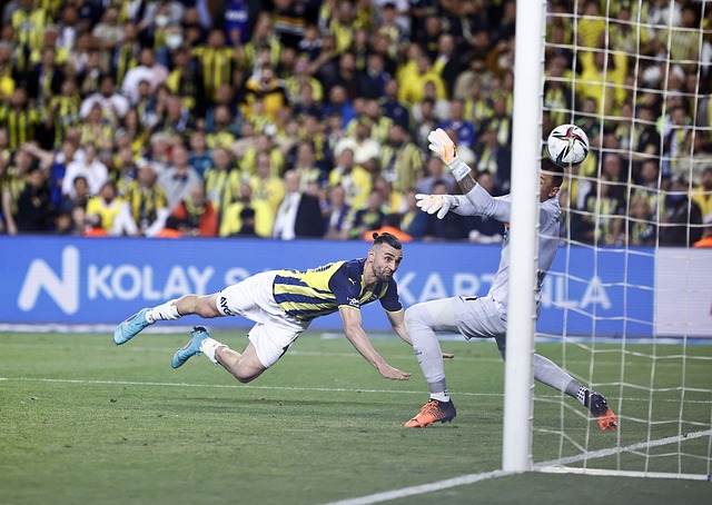 河南球迷的 河南球迷的