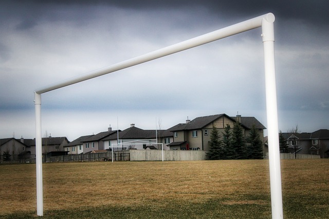 在皇马会成 在皇马会成