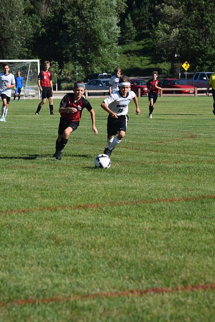 本队的表现 本队的表现