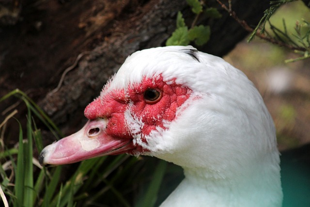 精准的控球 精准的控球