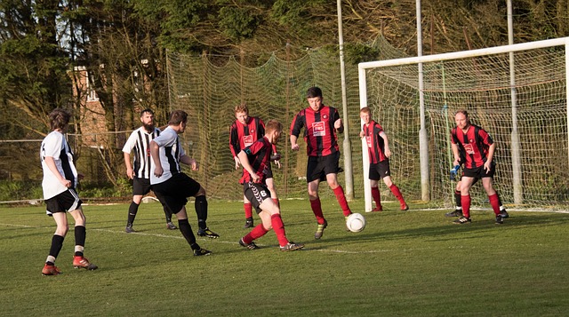 通过合理的 通过合理的