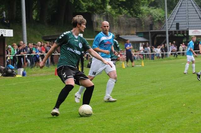 詹金斯被解